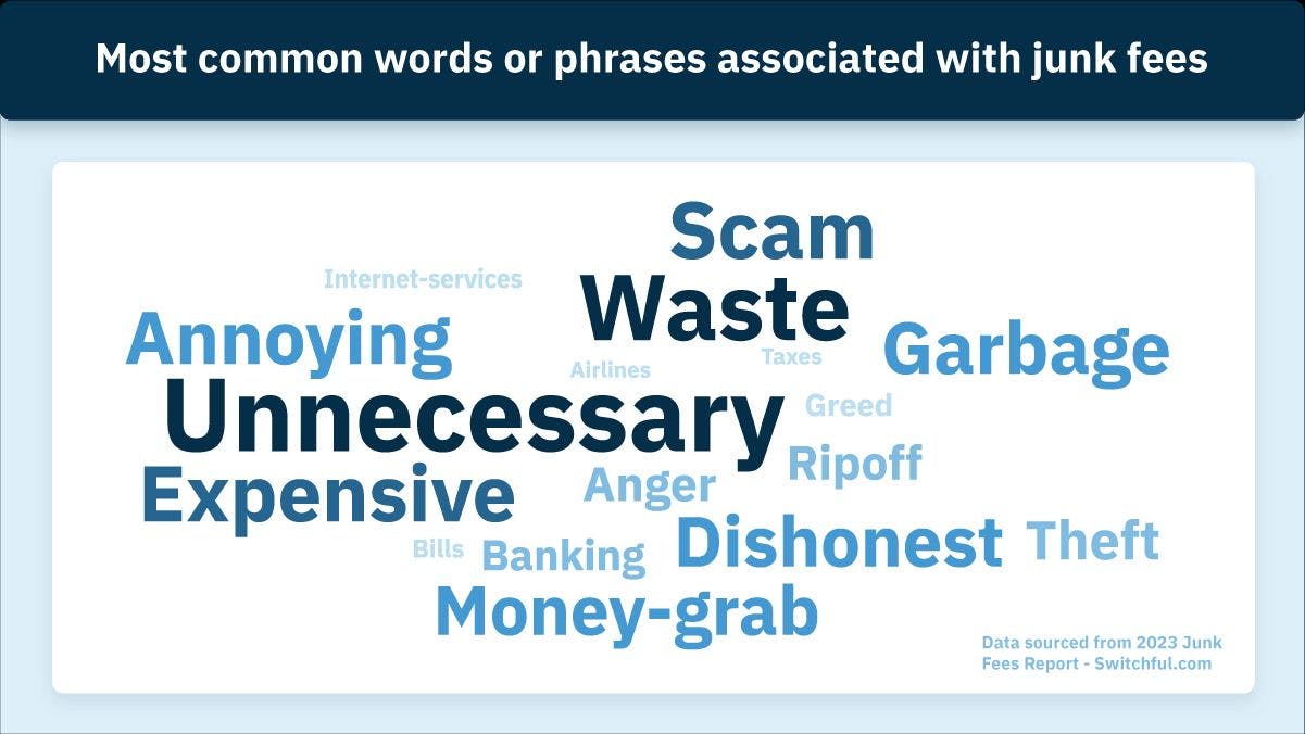 Most common words or phrases associated with junk fees